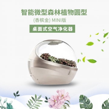 天泉鼎丰官方正品-智能型微森林植物圆型(香槟金) Mini版 桌面式空气净化器